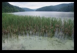 Plitvice -11-07-2013 - Bogdan Balaban